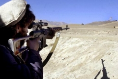 fatavoicegun.jpg8_