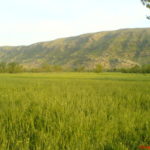 18839_1253425375936_1238595908_30776761_6699079_n