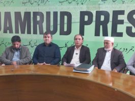 Shinwari appeals for action against land Mafia