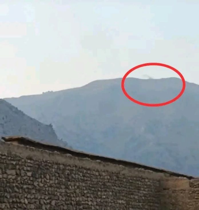 WhatsApp Image 2026-02-24 at 08.53.01