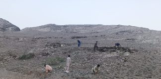 Green Peak’s mission launched in Khyber to restore mountain ecosystem