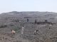 Green Peak’s mission launched in Khyber to restore mountain ecosystem