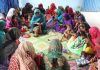Educationist says women’s economic freedom key to national progress