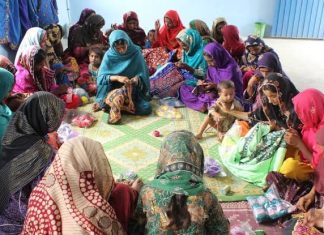 Educationist says women’s economic freedom key to national progress