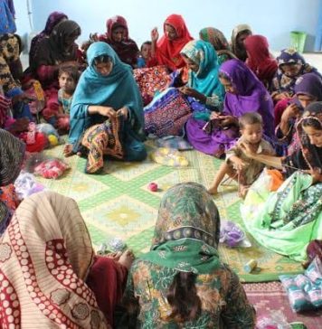 Educationist says women’s economic freedom key to national progress